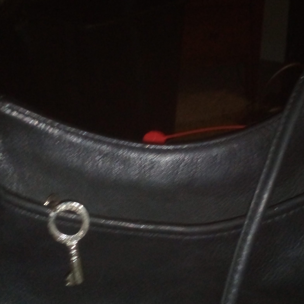 Fossil purse